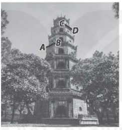 Hình minh họa câu hỏi
